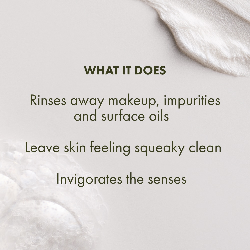 Checks and Balances™ Frothy Face Wash, 250ml