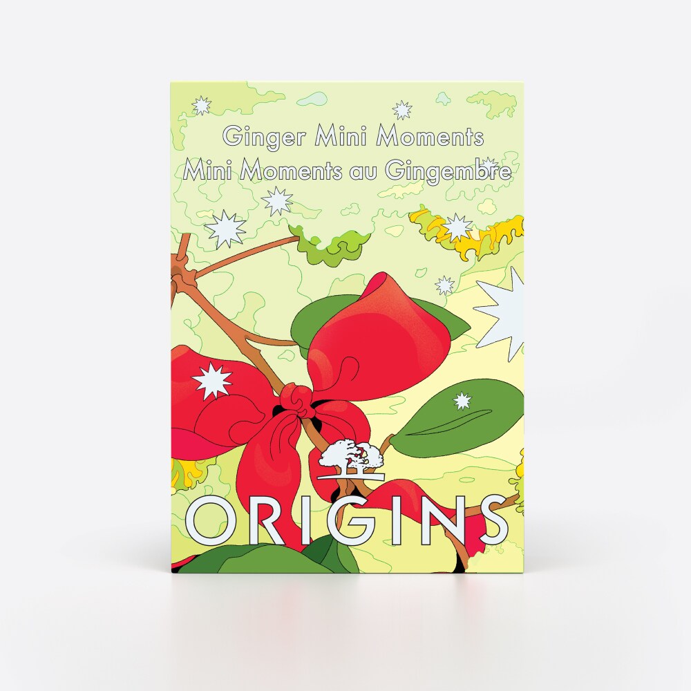 Ginger Mini Moments Gift Set for Hand & Body Care