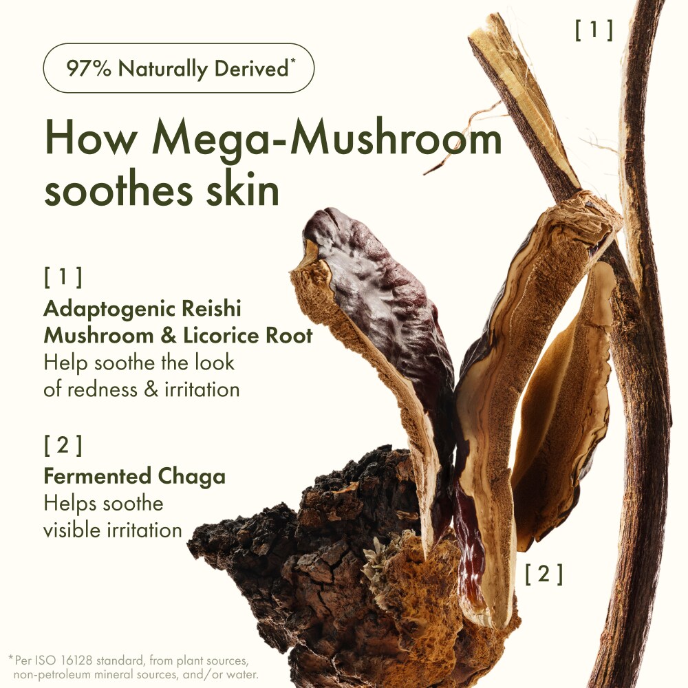 Barrier Boosters Mega-Mushroom Skincare Gift Set